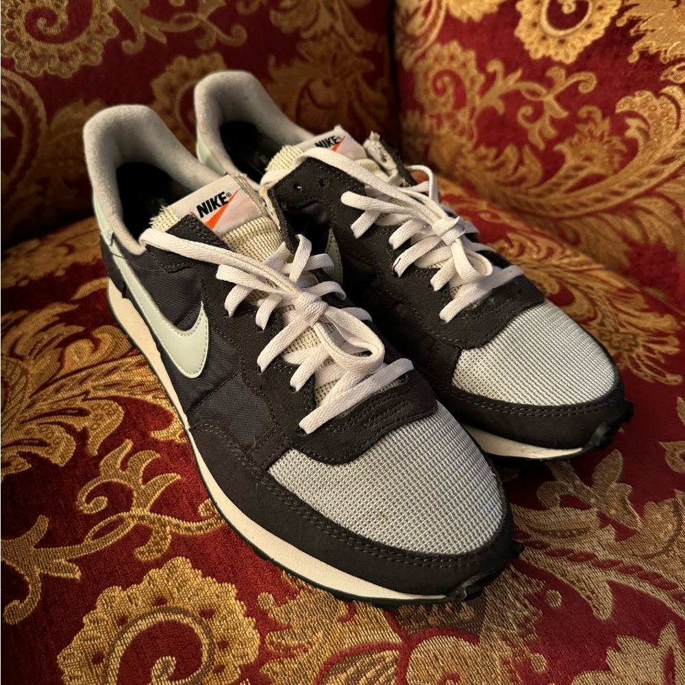 Nike Running Shoes